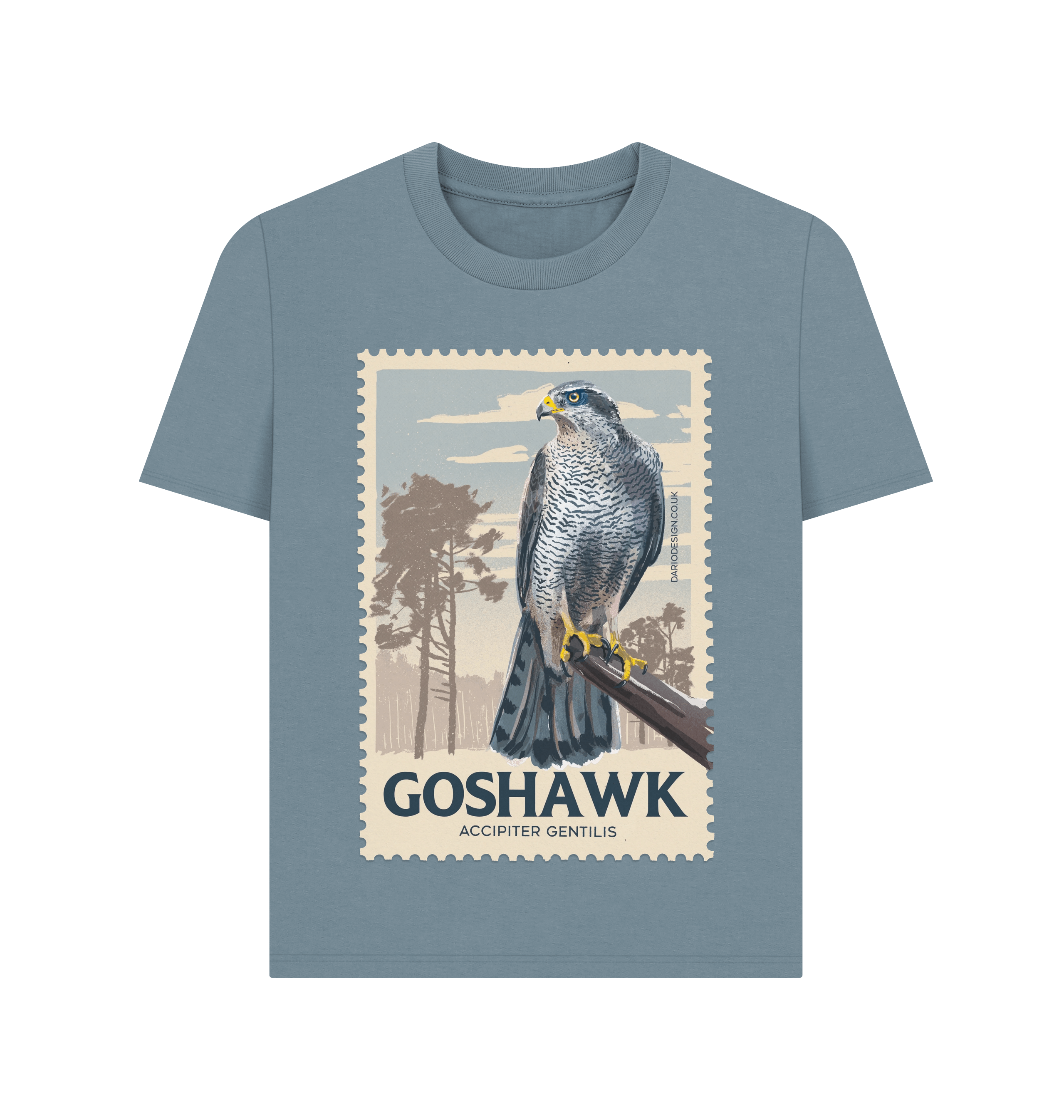 Stone Blue Printed T-shirt Front