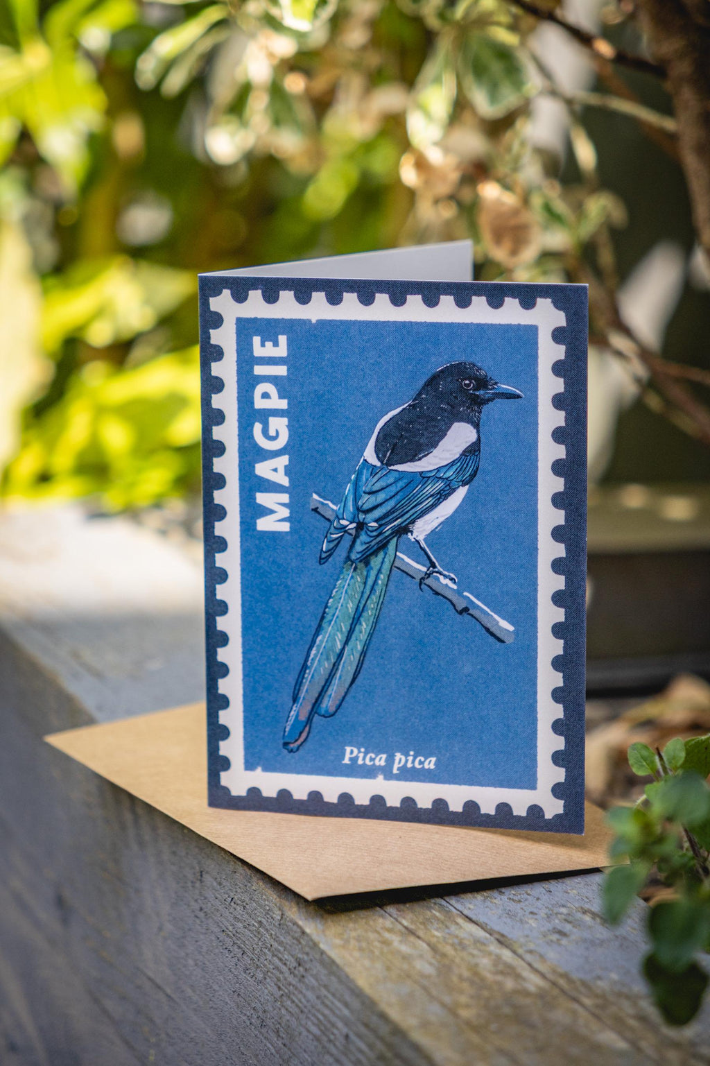 Songbirds - 6x retro illustrated greeting card multipack