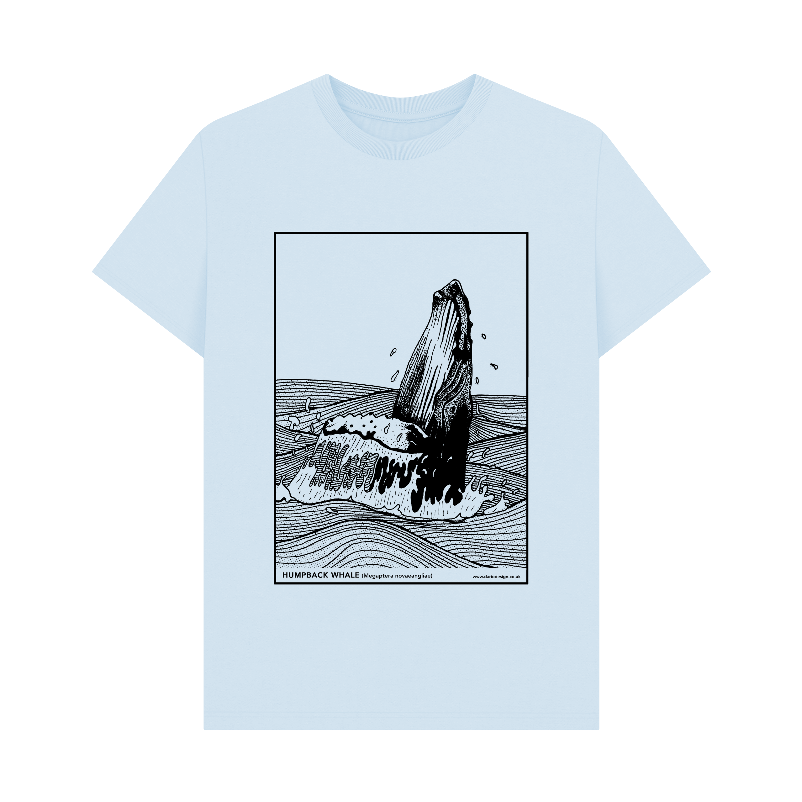 Sky Blue Printed T-shirt Front