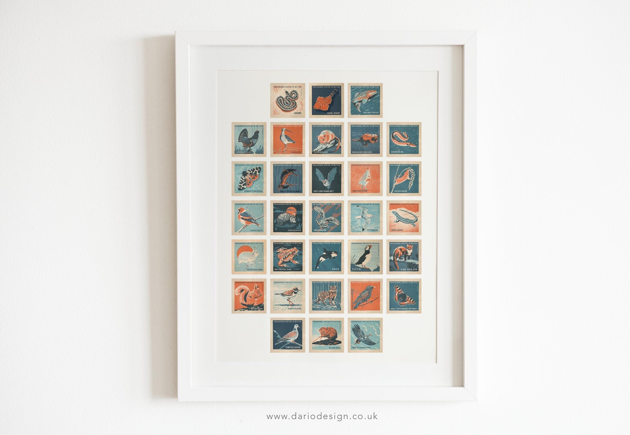 UK Endangered Species retro illustrated print