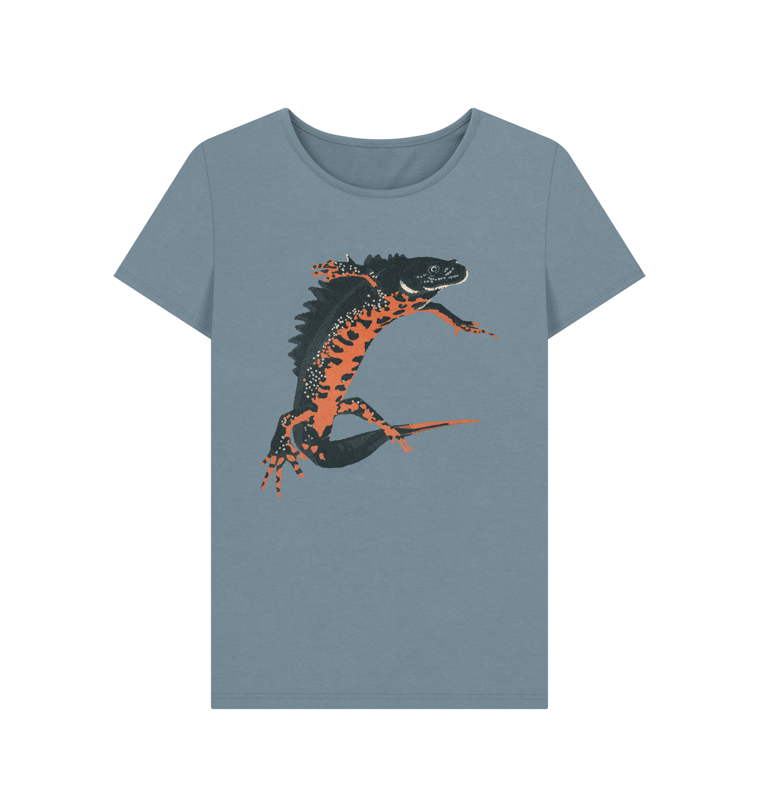 Stone Blue Printed T-shirt Front