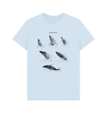 Sky Blue Printed T-shirt Front