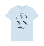Sky Blue Printed T-shirt Front