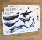 Whale Sticker Sheet