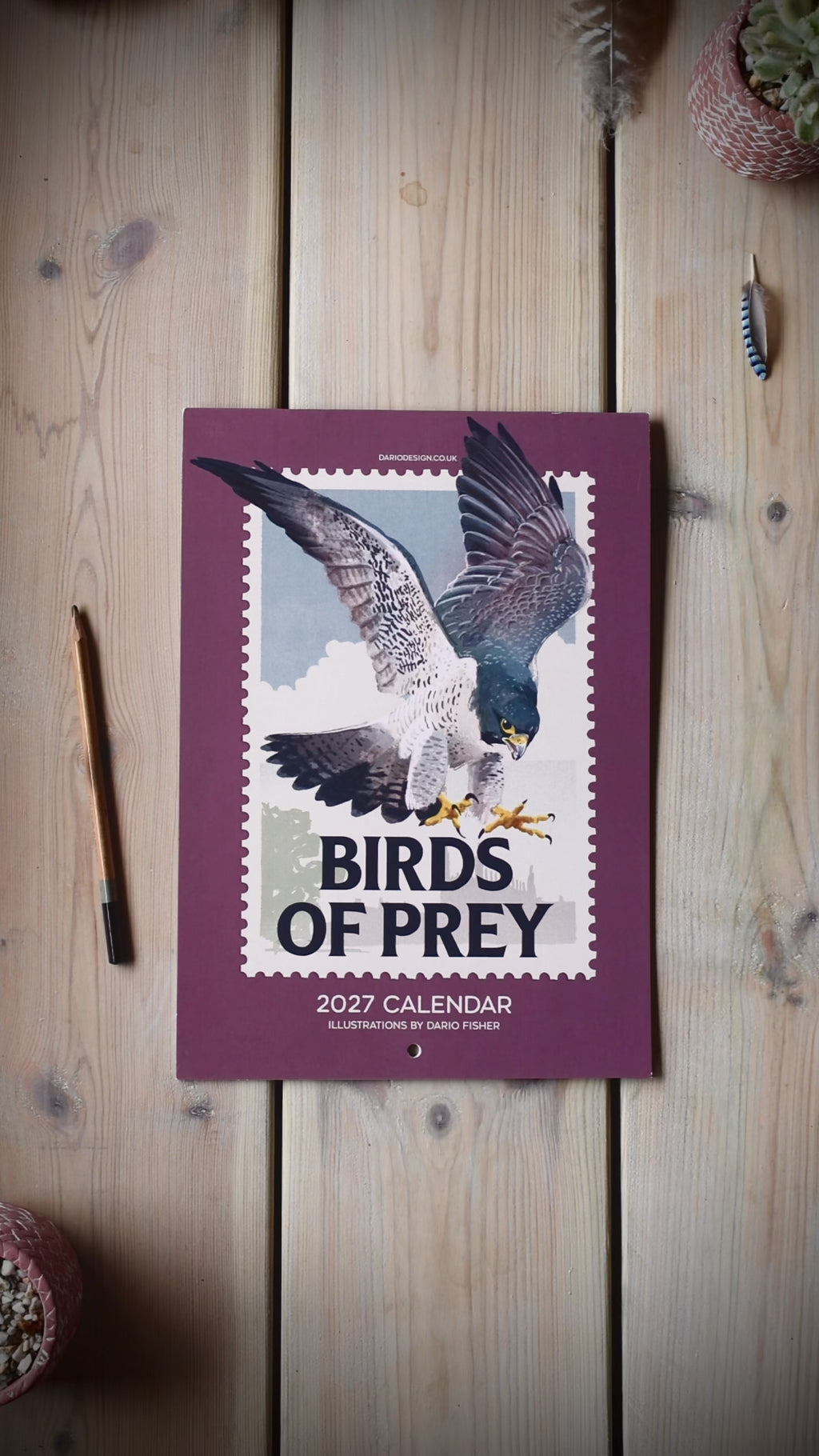 NEW! Birds of Prey - 2027 illustrated calendar