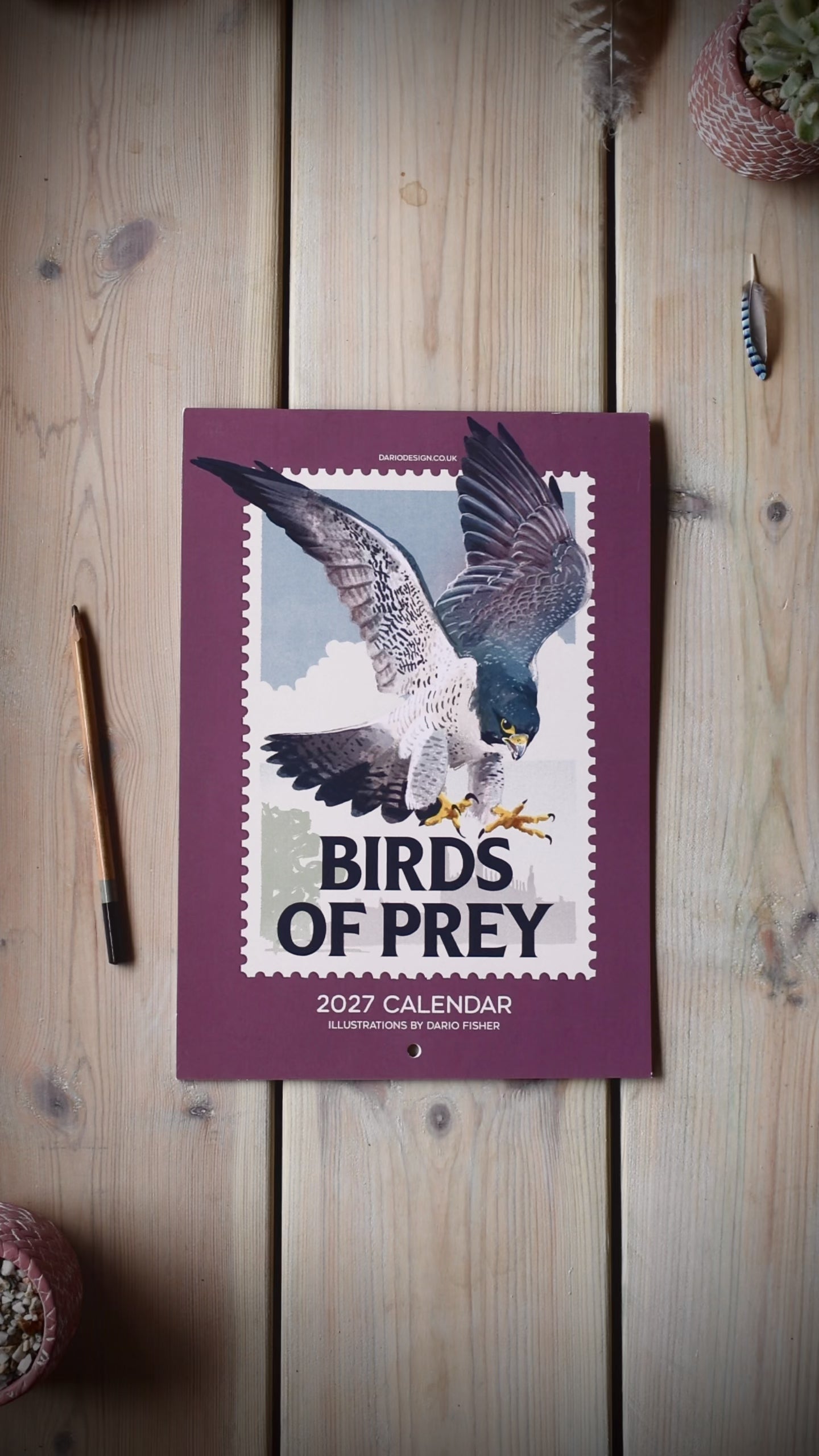 NEW! Birds of Prey - 2027 illustrated calendar